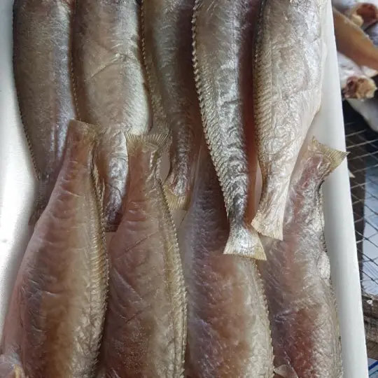 KHÔ CÁ ĐÙ MỘT NẮNG